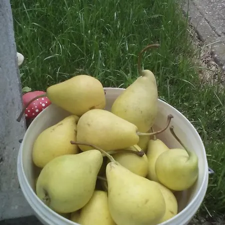 Pensión , For Rent For 24 Hours, Separate Kitchen, Sauna, Hydromassage Bath, Indoor Parking, Tavern No Pets 4*